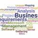 Skill Business Analyst (1)